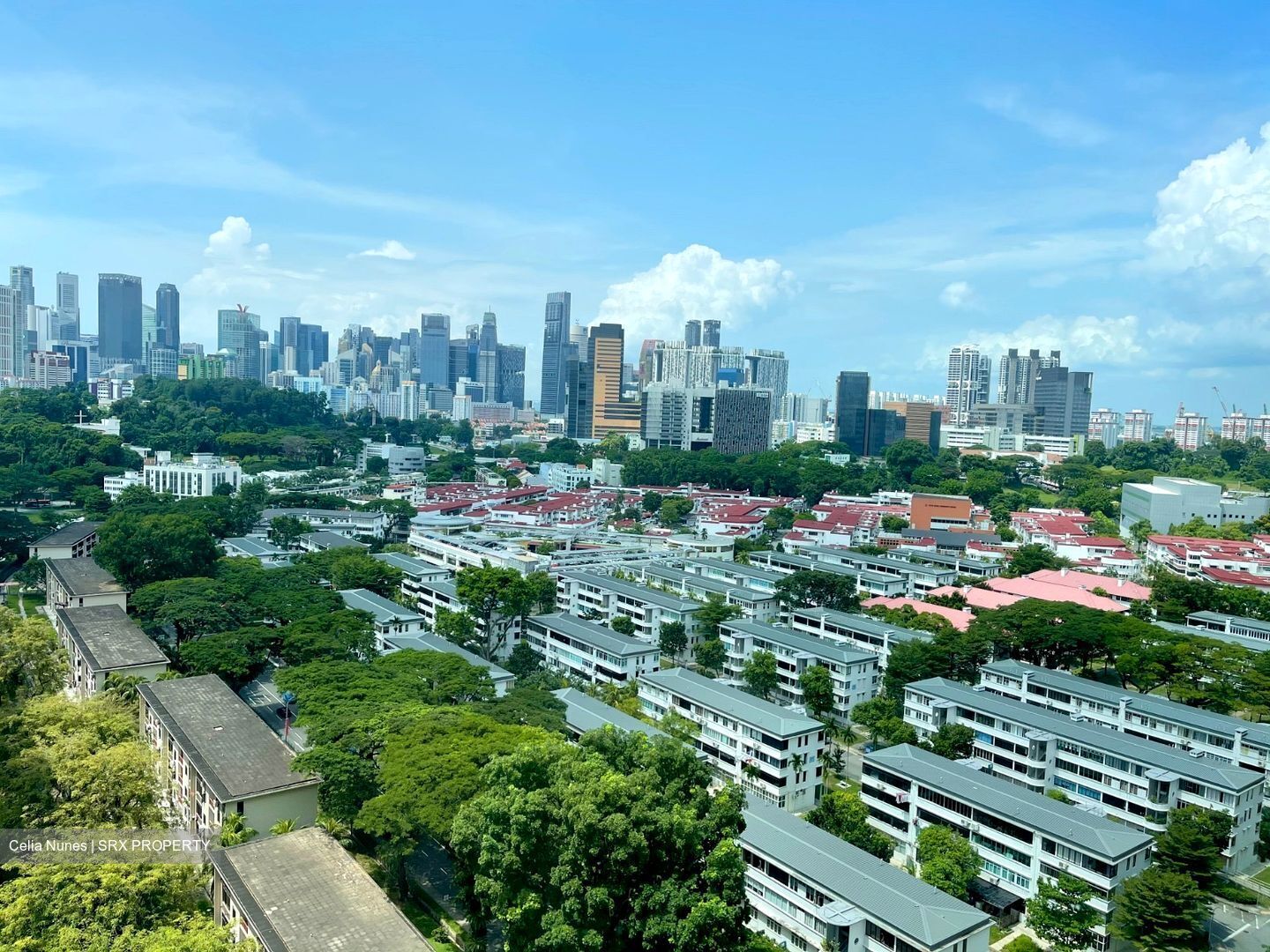 Blk 10A Tiong Bahru View (Bukit Merah), HDB 3 Rooms #306301661